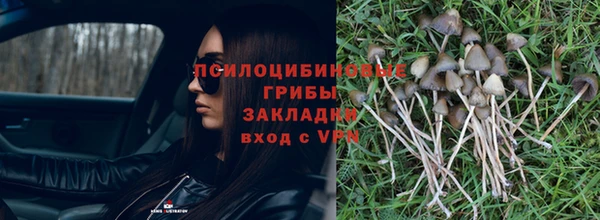хмурый Балабаново